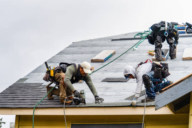 Professional Storm Damage Roof Repair technician working in San Mateo, FL